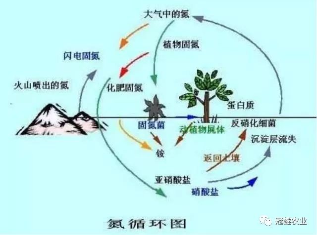 微信图片_20190621145058.jpg